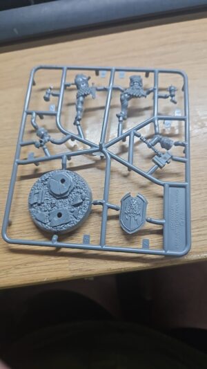 Stormcast Eternals: Liberator Sprue
